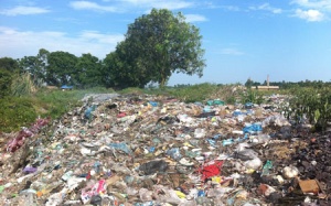 Kiểm soát, giảm sản xuất túi nilon khó phân hủy