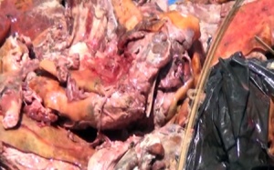 Phát hiện 94 kg thịt chó đã bốc mùi hôi thối