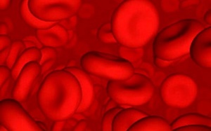 Bác sỹ Mỹ nhiễm Ebola nhận máu từ người sống sót