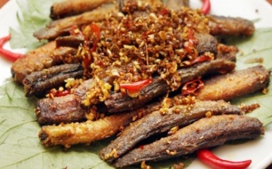 Gừng tươi, cá chạch: Thần dược chữa yếu sinh lý cực hiệu nghiệm