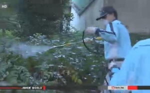 Bệnh nhân sốt xuất huyết gia tăng ở Nhật Bản