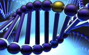 Phát hiện gen tăng 30% tuổi thọ