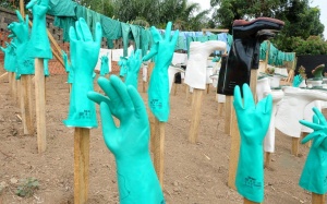 Malaysia hỗ trợ 20 triệu găng tay y tế chống dịch Ebola