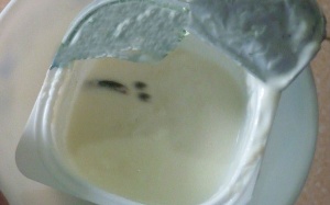 Rùng mình phát hiện sữa chứa côn trùng