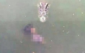 Nhảy xuống hồ có 1.000 con cá sấu để tự sát