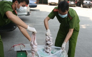 Bắt giữ 500kg tràng lợn nhập lậu từ Trung Quốc