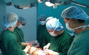 Liệt một năm, hai xương khớp háng hóa thạch