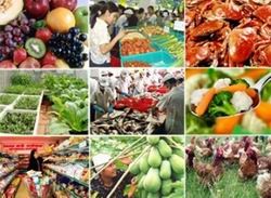 Đảm bảo hiệu quả 'Tháng hành động vì chất lượng VSATTP' năm 2015