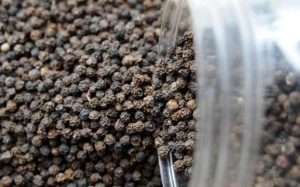 Thu hồi lô hạt tiêu đen nghi nhiễm khuẩn Salmonella