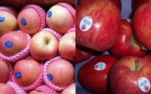 Tăng cường giám sát chất lượng nông sản nhập khẩu