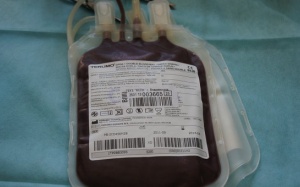 Liberia: Bác sỹ kêu gọi hiến máu để chữa Ebola