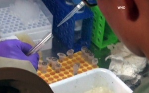 WHO: Tiến hành thử nghiệm vaccine Ebola quy mô nhỏ