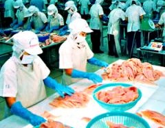 TP.HCM:  Chưa kiểm soát được nguồn gốc thực phẩm