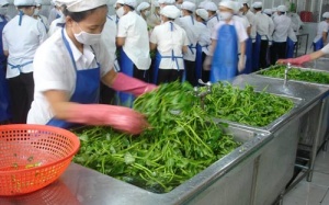 Gần 700 người chết do ngộ độc thực phẩm