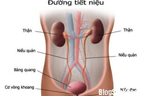 Nhịn tiểu dẫn đến nhiều căn bệnh nguy hiểm
