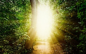 Bí ẩn sau cái chết của con người