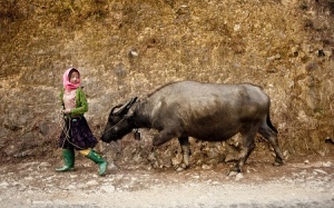 Việt Nam đoạt giải đồng cuộc thi ảnh quốc tế về Trẻ em