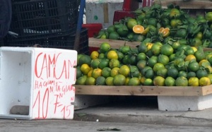 Tiền mất tật mang khi 'ham' hoa quả ngoại bán rong