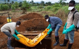 WHO cảnh báo nguy cơ Ebola ở nhân viên y tế