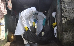 Mỹ: Lo ngại Ebola lây lan bên ngoài Tây Phi