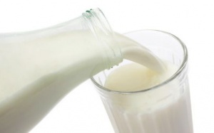 Nguy cơ tiềm ẩn của sữa tươi chưa tiệt trùng