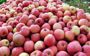 Tiết lộ động trời của người bán hoa quả chợ Long Biên