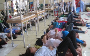 Truy tìm “thủ phạm” gây ngộ độc thực phẩm?