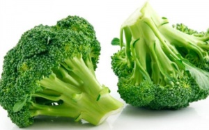 Chiết xuất súp lơ xanh trị chứng tự kỷ?