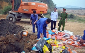 Tiêu hủy gần 500kg thực phẩm đông lạnh