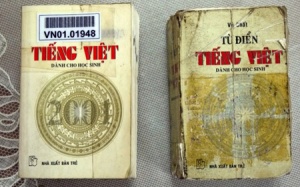 Từ điển phá nát tiếng Việt