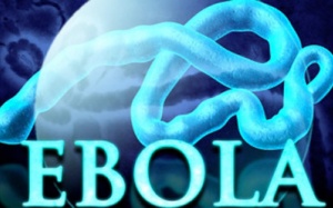 Cảnh báo virus Ebola đã biến đổi thành 300 phiên bản