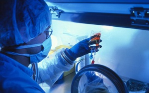 Điều trị ung thư vào ban đêm hiệu quả hơn