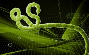 Ebola: Tekmira tung ra thuốc điều trị mới vào tháng 12