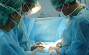 Vỡ thận tụy, tá tràng do va mạnh vào cọc