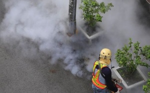 Đài Loan: Hơn 6.000 ca nhiễm sốt xuất huyết 