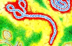 Quốc gia thứ 6 của Tây Phi có dịch Ebola