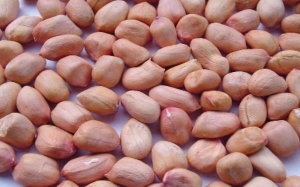 Dị ứng đậu phộng có liên quan đến đột biến gene