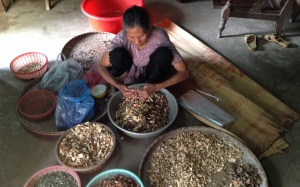 Kỳ lạ với cách chữa đau mắt ở…tay