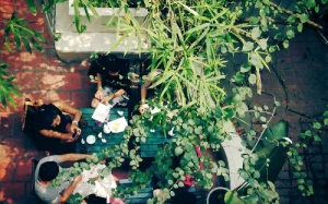 '36 giờ ở Hà Nội' lên New York Times 