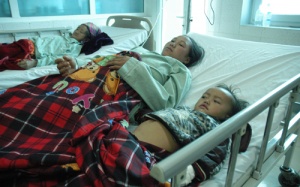 19 người nhập viện do ăn nấm rừng