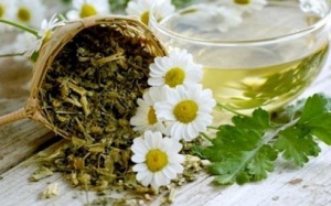 Cảnh báo trà thảo dược chứa chất gây ung thư