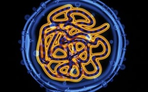 Điều chế thành công vaccine viêm gan C mới