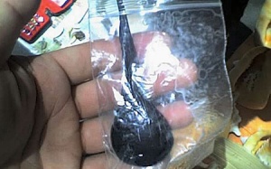 Nhập viện vì chữa bệnh bằng mật cá, mật động vật