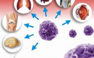 Sức sống mới từ tế bào gốc