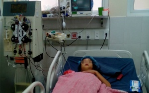 7 ngày lọc máu cứu em bé bị ong đốt hơn trăm mũi