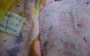 Khăn mặt chứa nhiều vi khuẩn hơn cả bệ bồn cầu