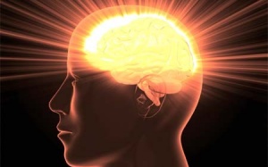 Con người sáng suốt hơn khi đói