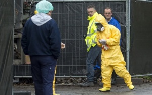 Cảnh báo dịch cúm gia cầm lan rộng