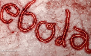 Số người tử vong do Ebola đã lên tới 5.420 người