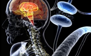 Parkinson - Nỗi lo của người cao tuổi